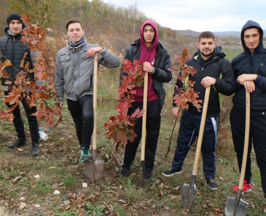 Un arbore pentru dăinuirea noastră